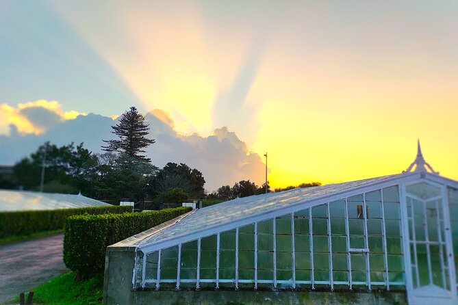 Private Custom Tour in São Miguel Island - Furnas: Hot Springs, Thermal Pools, Botanical Gardens, and Local Food
