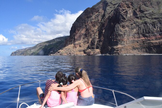 Private Dolphin and Whale Watching Tour in Madeira - Who This Tour Fits Best (and Who Should Reconsider)