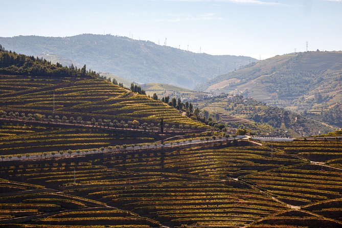 Private Douro 4x4 Adventure from Porto with Deluxe Pic nic - From Central Porto Pickup to Viewpoint Time