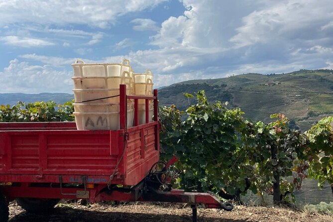 Private Douro 4x4 Adventure from Porto with Deluxe Pic nic - The 4x4 Backroads Ride: Views, But Also Height Reality