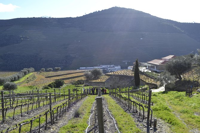 Private Douro 4x4 Adventure from Porto with Deluxe Pic nic - Price and Value: What You’re Paying For