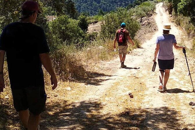 Private Douro and Porto 4x4 Tour with Wine Tasting and Boat Trip - Favaios wine village stop and the tasting at the co-op