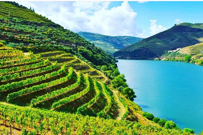 Private Douro Valley Food and Wine Tour From Porto - Casal de Loivos Olive Oil Museum Stop That Makes the Day Different