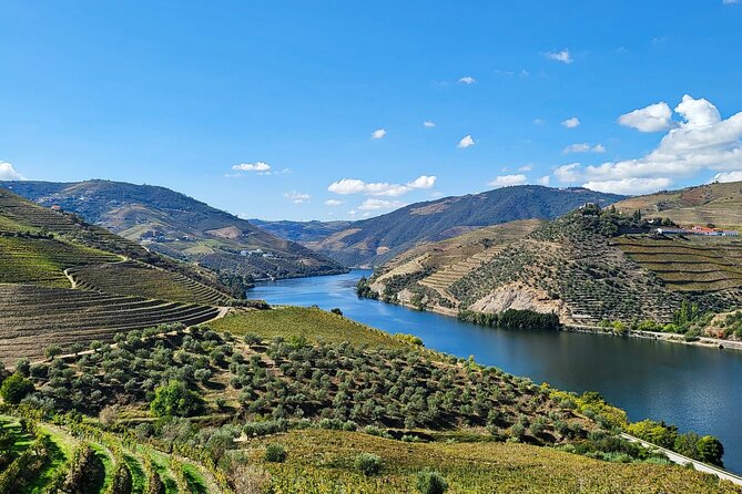 Private Douro Valley Tour (2 wineries + boat) - Key Highlights You’ll Actually Feel