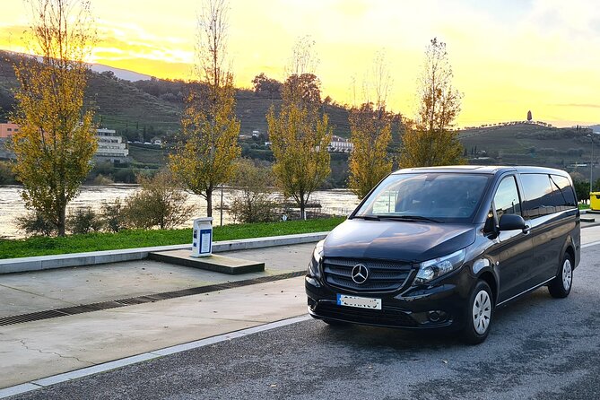 Private Douro Valley Tour (2 wineries + boat) - The Value of Doing the Douro as a Private Tour