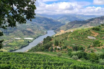 Private Douro Valley Tour (2 wineries + boat) - Pickup in Peso da Régua at 10:30: Start Comfortable, Not Frazzled