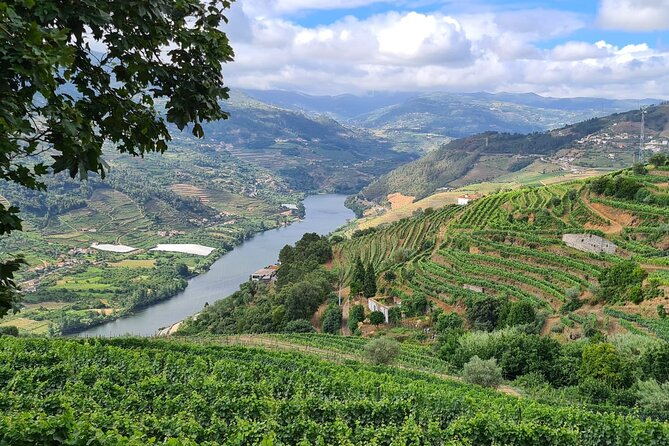 Private Douro Valley Tour (2 wineries + boat) - Pickup in Peso da Régua at 10:30: Start Comfortable, Not Frazzled