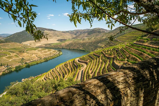 Private Douro Valley Tour: Boutique Winery & River Cruise - Quick hits before you go