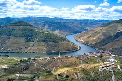 Private Douro Valley Tour: Boutique Winery & River Cruise - Quinta do Cume winery visit: where the tastings have context