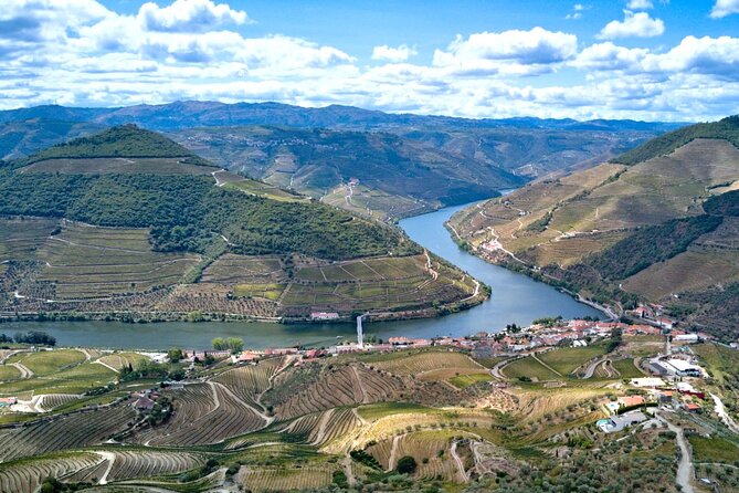 Private Douro Valley Tour: Boutique Winery & River Cruise - Quinta do Cume winery visit: where the tastings have context