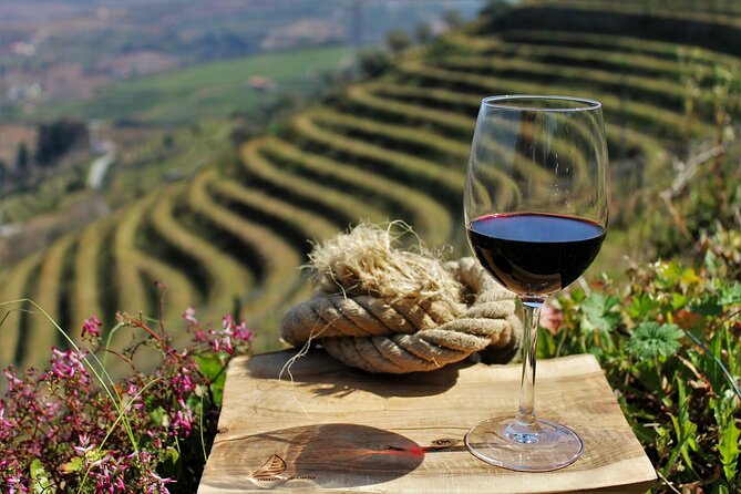 Private Douro Valley Tour Including 3 Wineries - Key Points I’d Plan Around