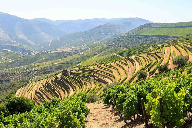 Private Douro Valley Tour Including 3 Wineries - Porto to the Douro: One Smooth Day Away from the City