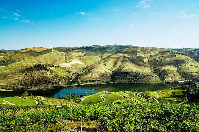 Private Douro Valley Tour Including 3 Wineries - What the Guides Get Right: The Human Part of the Day