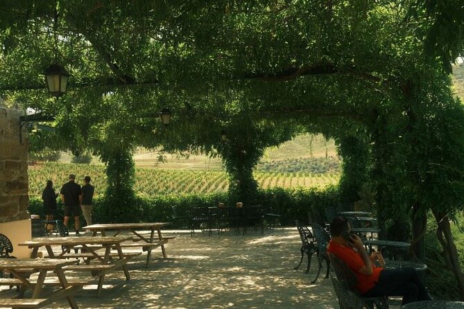 Private Douro Valley Tour with Lunch & Wines - Celeiros family winery: cellar tour plus Douro and port tastings
