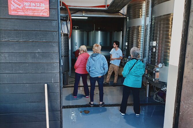 Private Douro Valley Tour with Sommelier, Lunch and Wine Tasting - Pinhão train station tiles: more than a photo stop