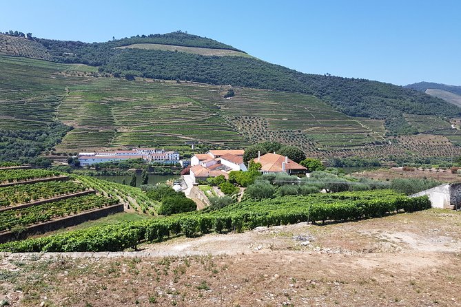 Private Douro Valley visit to three vineyards with Lunch from Porto - Stop 1 in Lamego: a family vineyard and terraces you can feel