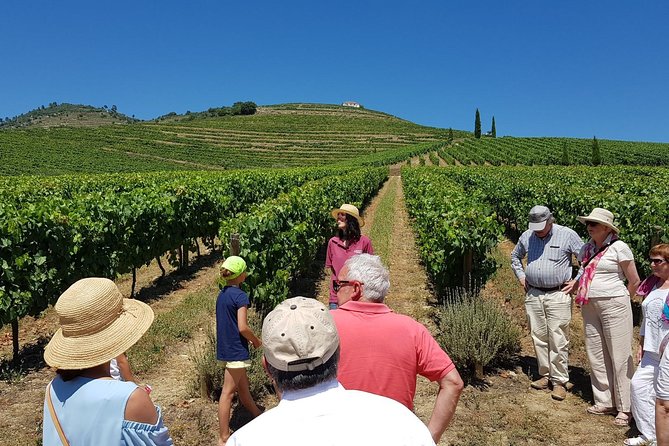 Private Douro Valley Wine Tour: 2 Wine Estates, Lunch and Cruise - Key highlights worth marking on your map
