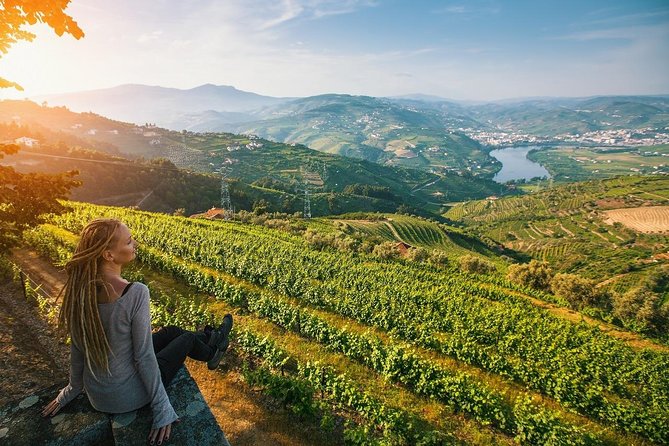 Private Douro Valley Wine Tour: 2 Wine Estates, Lunch and Cruise - Why this Douro Valley tour clicks when you start in Porto