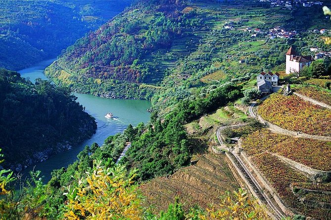 Private Douro Valley Wine Tour: 2 Wine Estates, Lunch and Cruise - Second winery and final tastings: vineyard to bottle