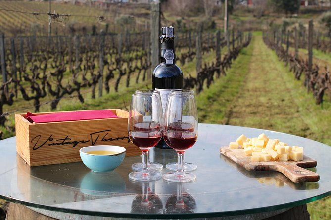 Private Douro Valley Wine Tour: 2 Wine Estates, Lunch and Cruise - What the lunch-and-wine pairing really gives you