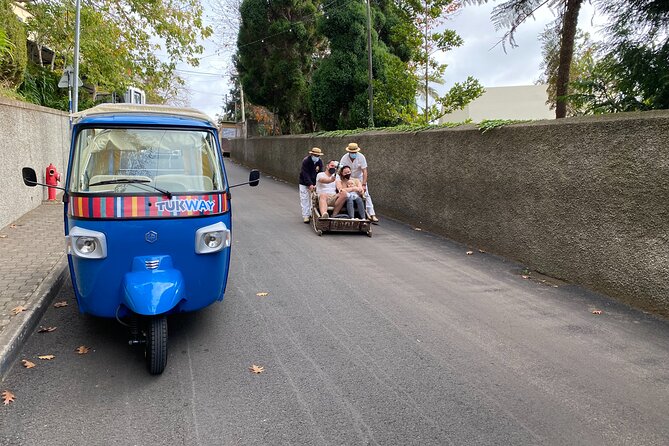 Private Express Tuk Tuk Tour Funchal Old Town & Toboggans - Toboggan Express Downhill: Speed, Nerves, and Pure Fun