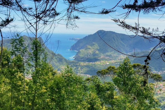 Private Full Day Off-Road Tour in Madeira - The Off-Road Ride: Open-Top Jeep Fun with a Bumpy Side