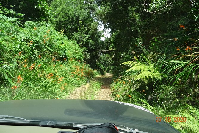 Private Full Day Off-Road Tour in Madeira - The Guide Makes It a Day, Not Just a Route