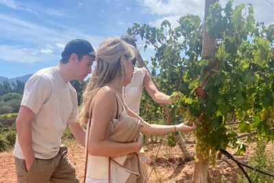 Private Full-Day Wine Tour from Lisbon with Tastings - Premium Vehicle Comfort: Why Not Driving Is a Big Deal