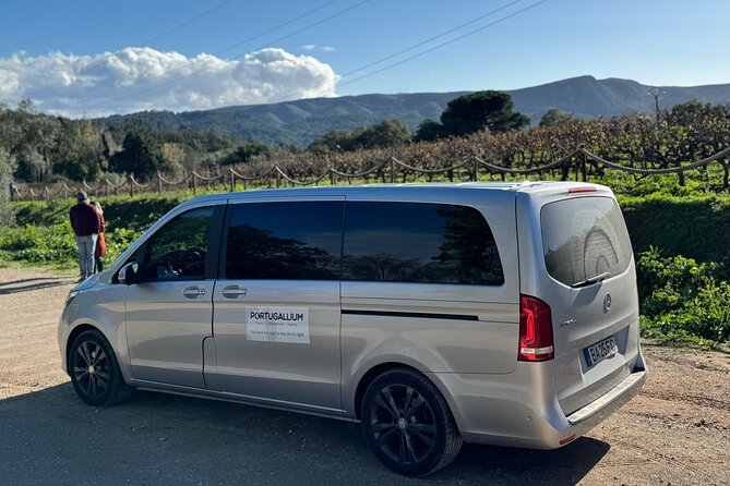 Private Full-Day Wine Tour from Lisbon with Tastings - Parque Natural da Arrabida: A Quick Breath of Ocean-Air Nature