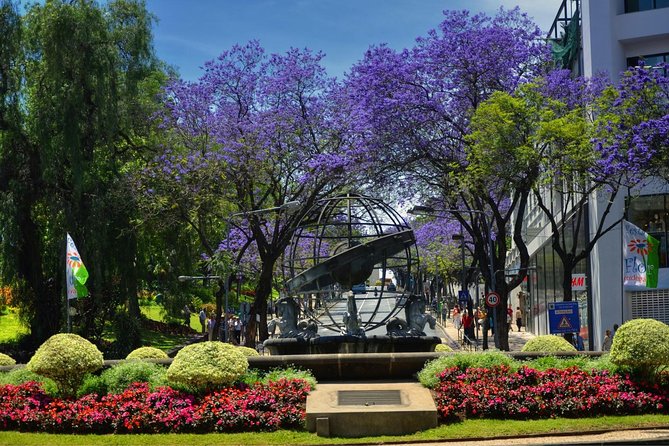 Private Funchal City Tour by Tukxi - Mercado Central: the market stop that makes Funchal feel real