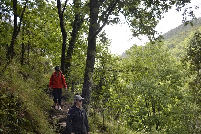 Private Geres National Park Tour with Lunch and Transfers - Private tour value: Why $290.36 can make sense