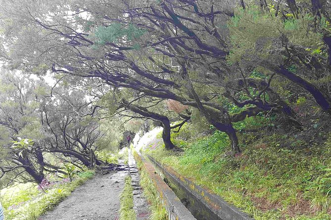 Private Guided Walk Levada 25 Fontes - What Makes Levada 25 Fontes Special for a 5-Hour Day
