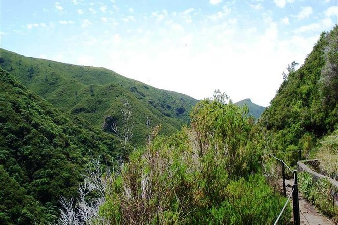 Private Guided Walk Levada 25 Fontes - The Real Win: Hotel Pickup Anywhere on Madeira