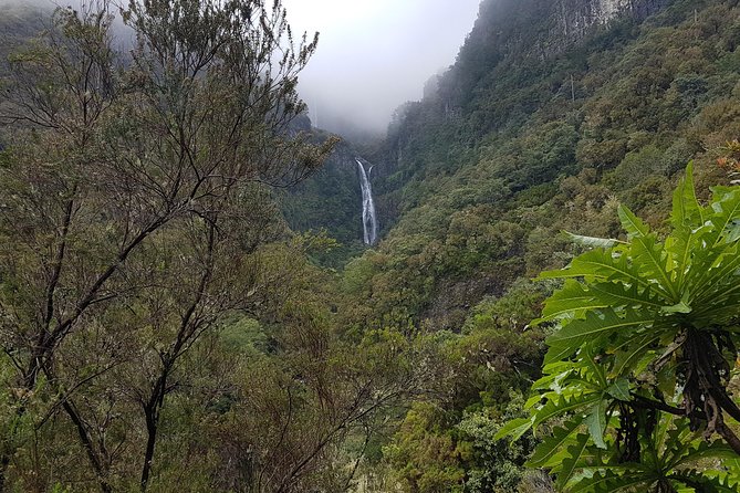 Private Guided Walk Levada 25 Fontes - Stop 1: 25 Fontes and Cascada da Risco (What You’re Really Going For)
