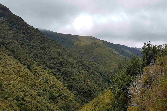 Private Guided Walk Levada 25 Fontes - What’s Included (and What You’ll Need to Handle)