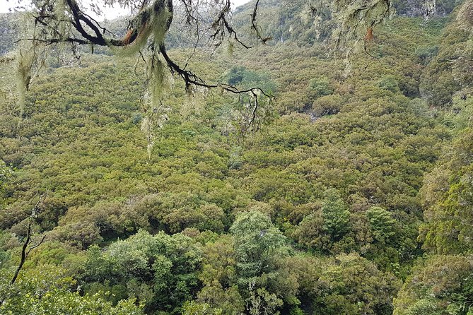 Private Guided Walk Levada 25 Fontes - Weather: Why All-Weather Operation Can Be a Plus (If You Prep)