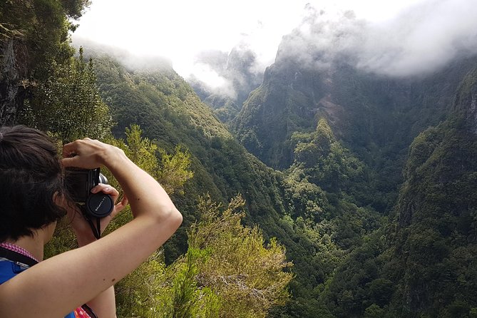 Private Guided Walk Levada Caldeirao Verde - UNESCO Laurisilva: bird spotting and plant details that make the trail click