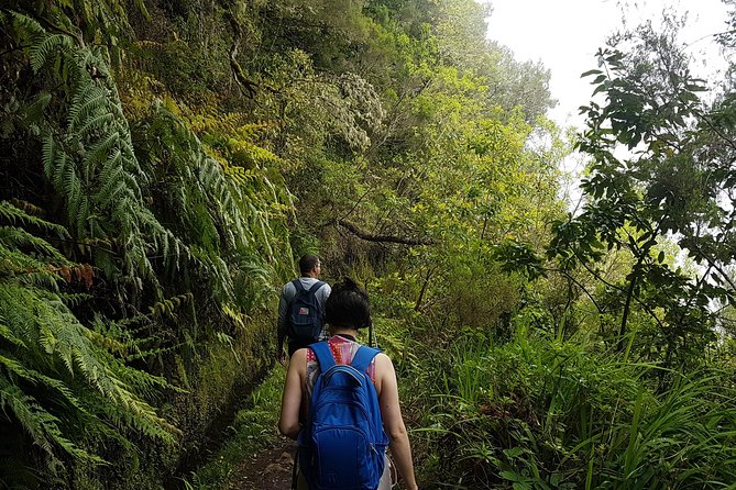 Private Guided Walk Levada Caldeirao Verde - The waterfall moment and the São Jorge views on your way there