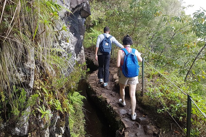 Private Guided Walk Levada Caldeirao Verde - What you should bring (and what the tour leaves out)