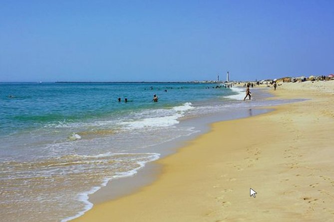 Private Half-Day Boat Tour in Ria Formosa from Faro - Snorkeling and safety: life jackets, masks, and realistic expectations