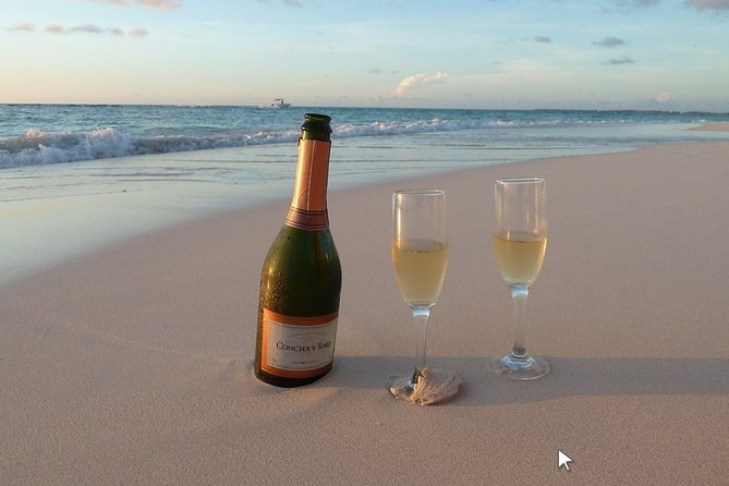 Private Half-Day Boat Tour in Ria Formosa from Faro - Stop 1 on Deserta Island (Ilha Deserta): 11 km of beach time