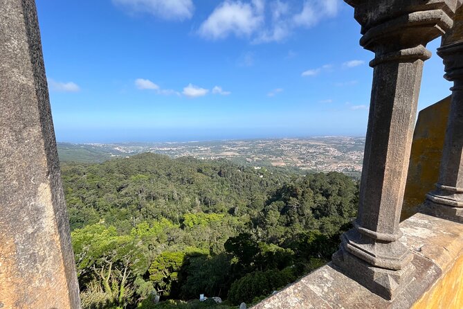 Private Half Day - The Majestic Pena Palace & Sintra - Private guide impact: what you’ll likely feel in the ride