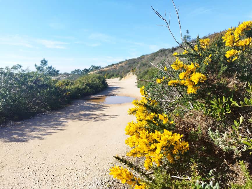 Private Jeep tour to Espichel Mysteries and Wild Beaches - A Private Jeep Day That Actually Feels Off the Main Road