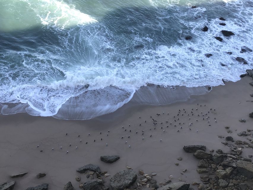 Private Jeep tour to Espichel Mysteries and Wild Beaches - Lagoa de Albufeira to Praia das Bicas: The Coast Starts Warming Up