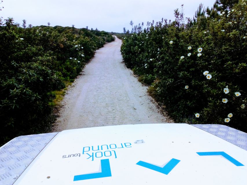 Private Jeep tour to Espichel Mysteries and Wild Beaches - Cabo Espichel to Sesimbra: From Guided Walks to Sea-Edge Views