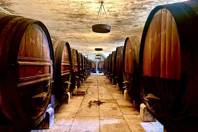 Private Lisbon-Arrábida Wine Tour: 3 Wineries, Coast & Heritage - Lisbon to Arrábida: why this day trip feels different