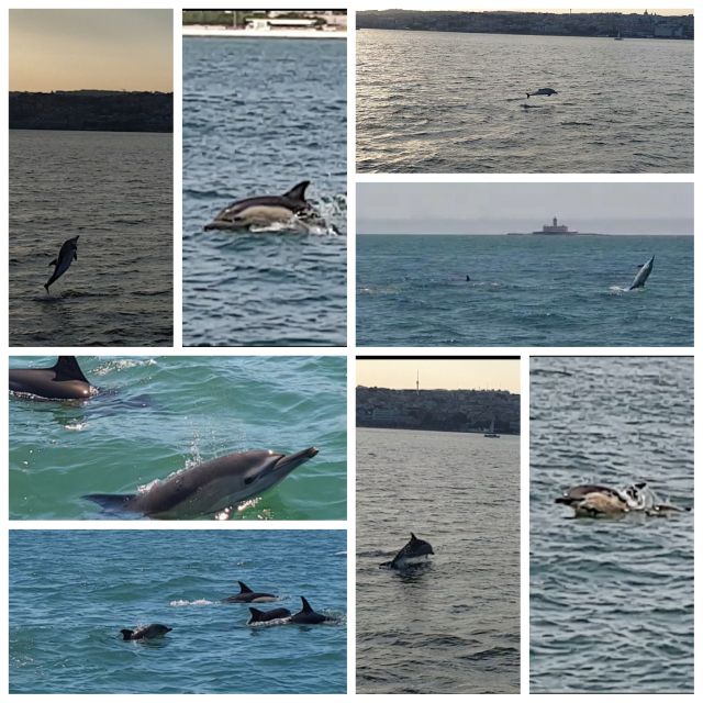 Private Lisbon Sightseeing Sailing Boat Tour with Locals - A Lisbon Tour You Don’t Need to Overpower