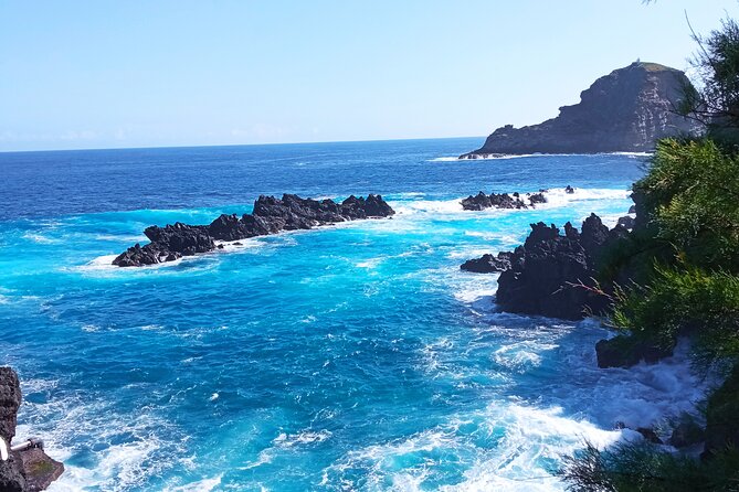 Private Madeira Island Tour: The Most Complete 8-Hour Experience - Vereda do Fanal and Pico Ruivo do Paul da Serra: laurel-forest vibes in the mountains