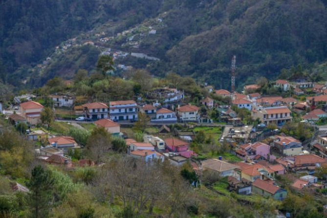 Private: Maderia Island Tour & Famous Monte Toboggan Ride - Pickup, guide style, and how private touring changes the day