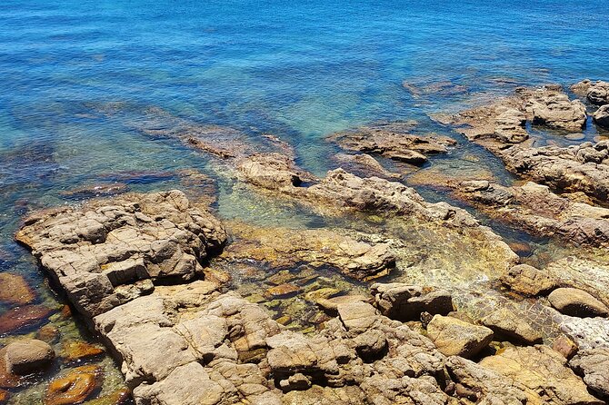 Private Open Top Coastal Tour with Coffee Included - Key takeaways before you go